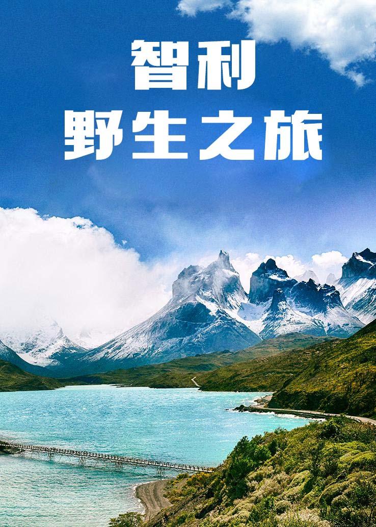 智利：野生之旅