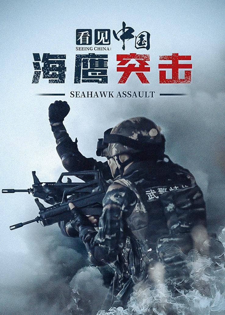 看见中国：海鹰突击