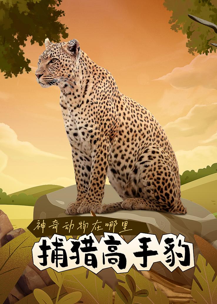 神奇动物在哪里 捕猎高手豹