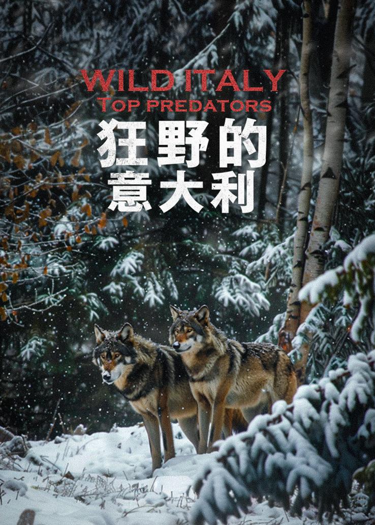 狂野的意大利
