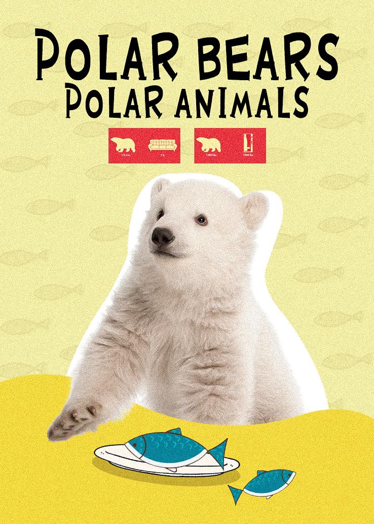 Polar Bears：Polar Animals
