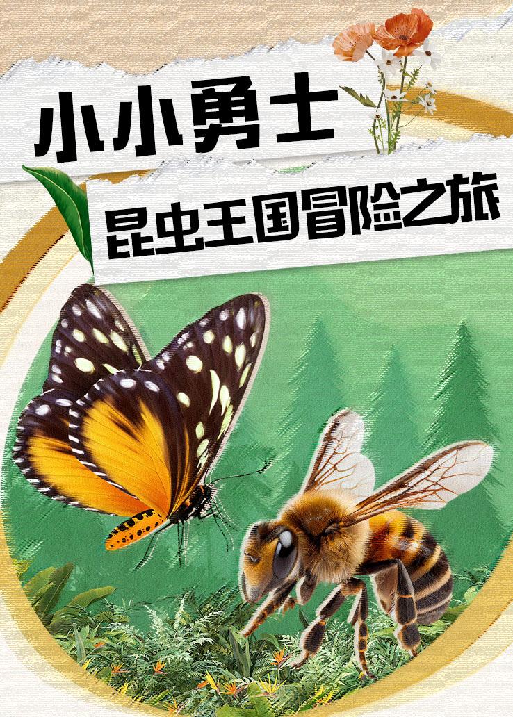 小小勇士：昆虫王国冒险之旅