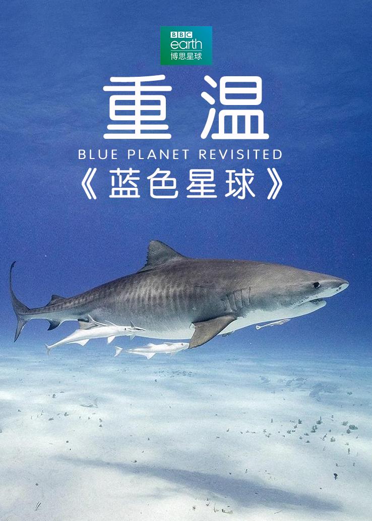 重温《蓝色星球》