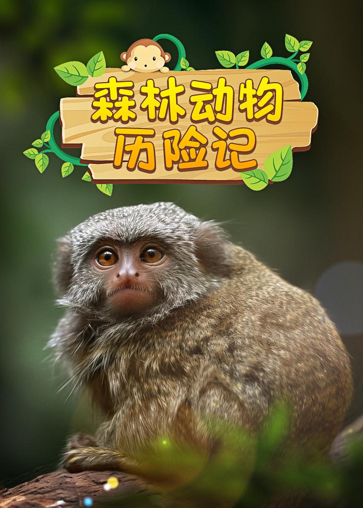 森林动物历险记