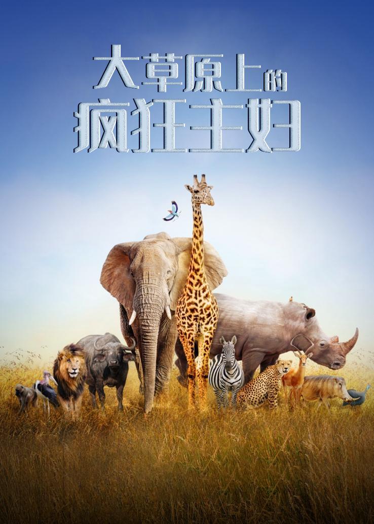 大草原上的疯狂主妇