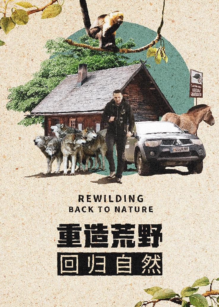 重造荒野回归自然