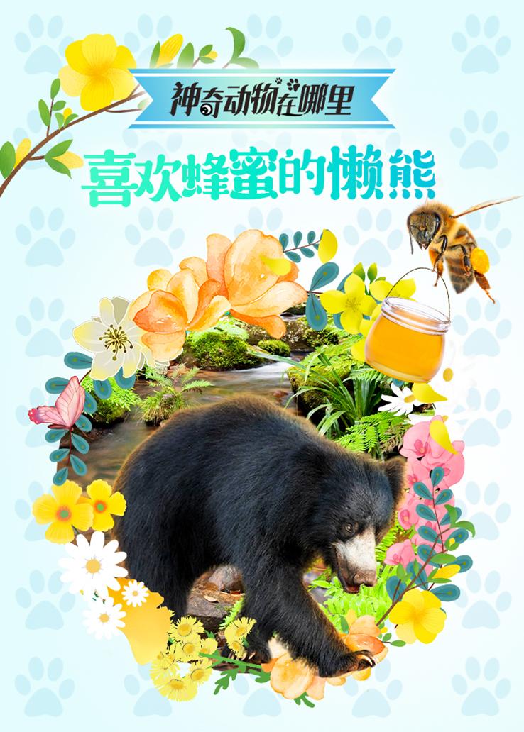 神奇动物在哪里 喜欢蜂蜜的懒熊