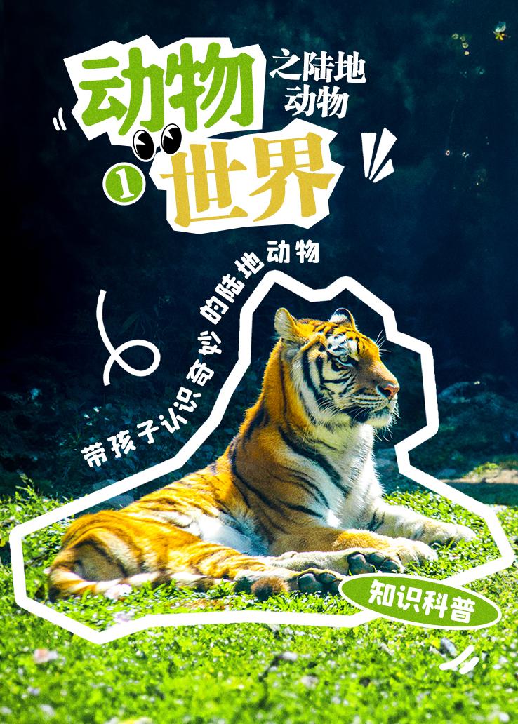 动物世界之陆地动物第一辑