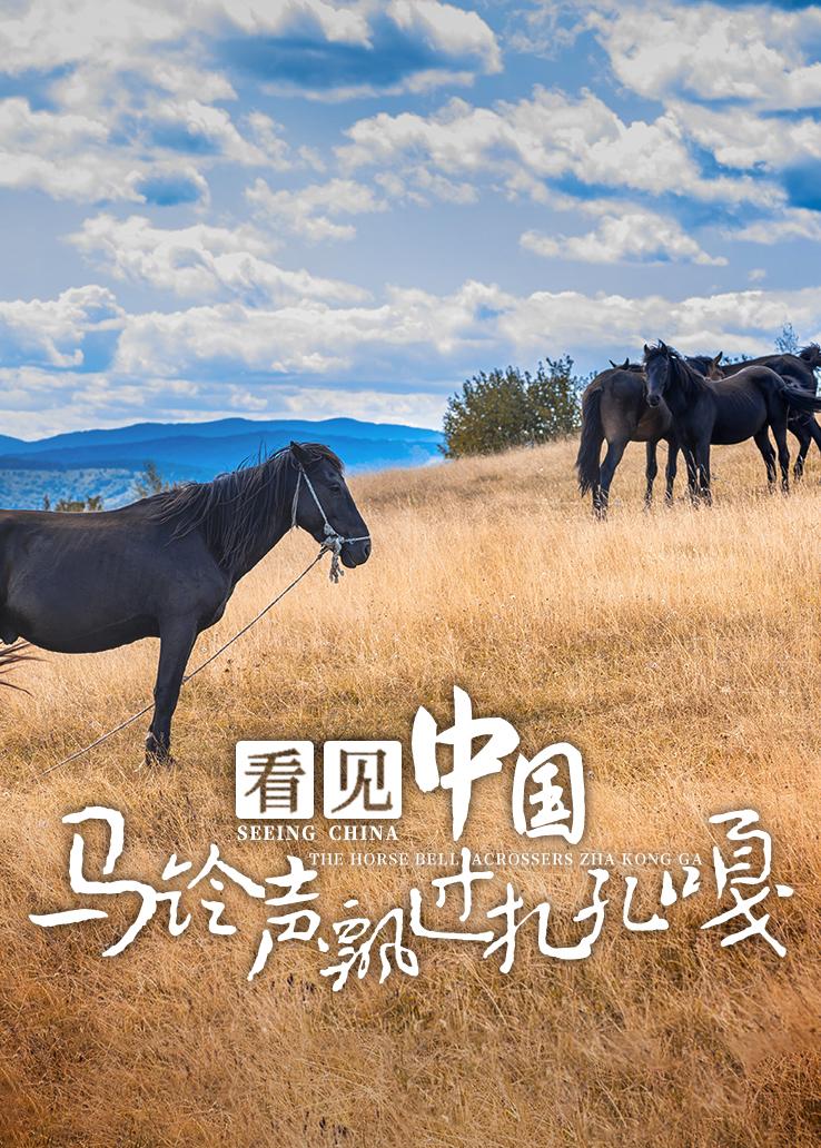 看见中国：马铃声飘过扎孔嘎