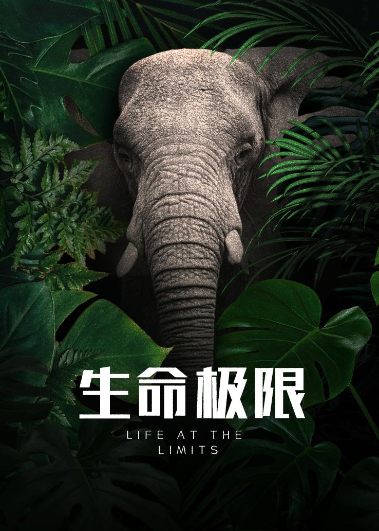 生命极限