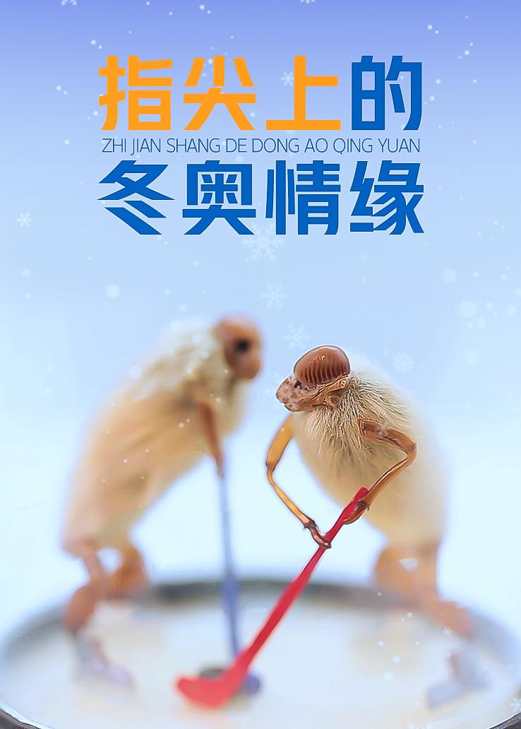 指尖上的冬奥情缘