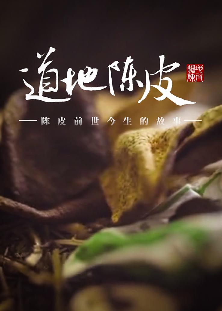 道地陈皮