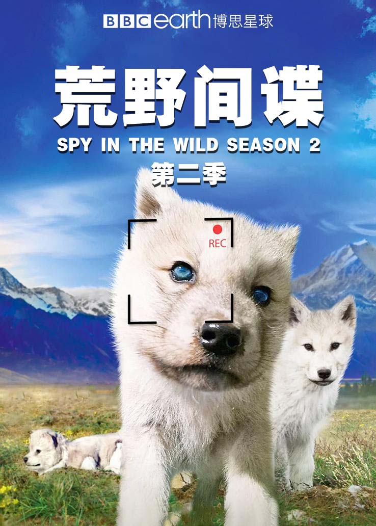 荒野间谍第二季