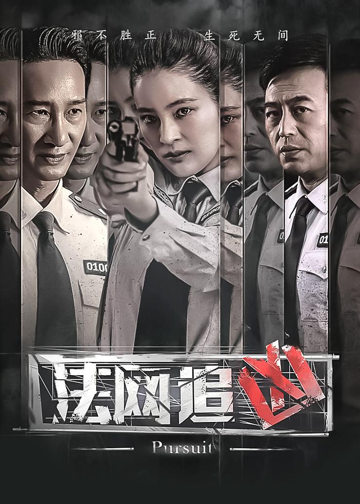 法网追凶封面图