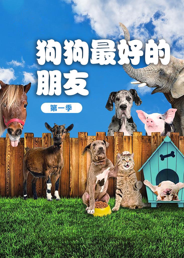 狗狗最好的朋友第一季