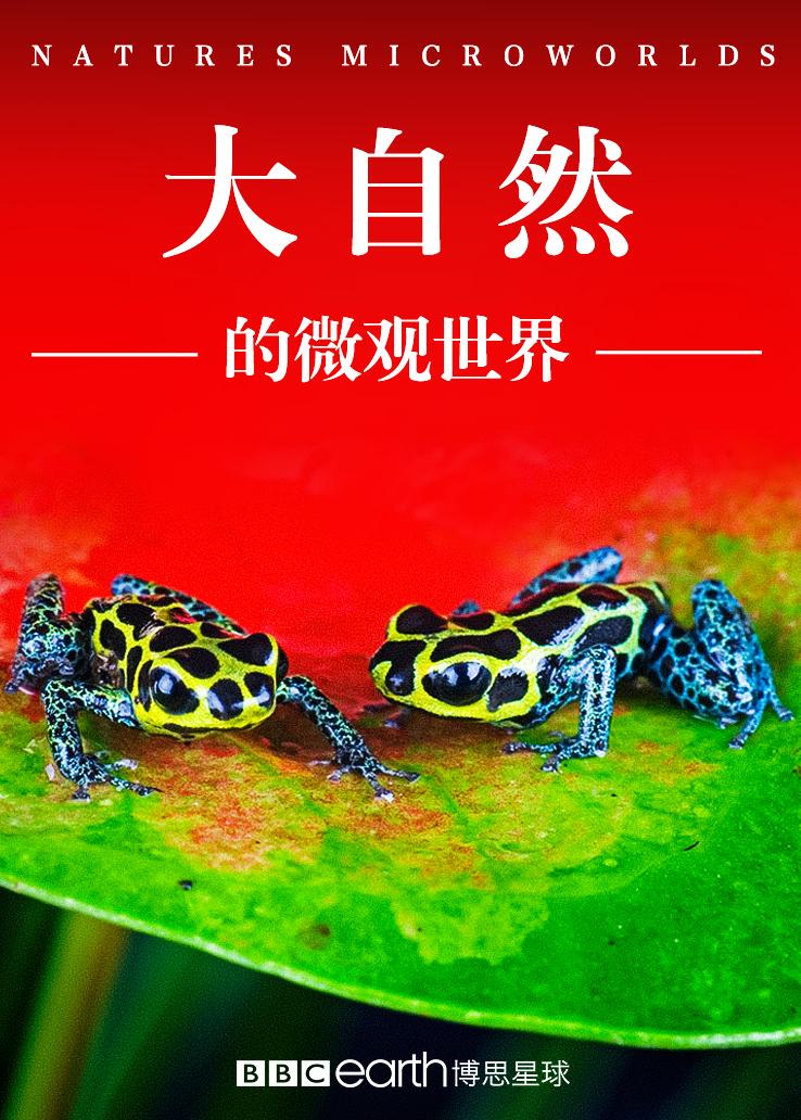 大自然的微观世界