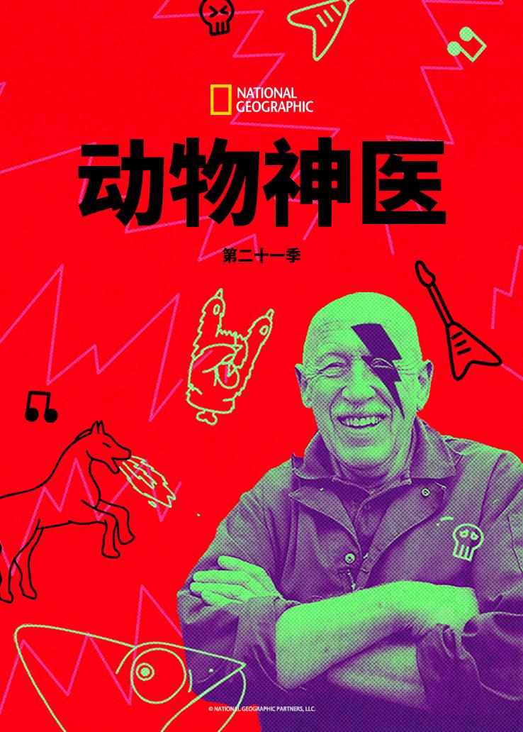 动物神医第二十一季