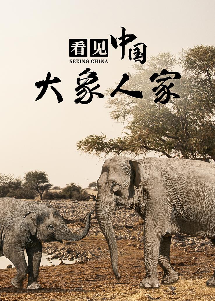 看见中国：大象人家