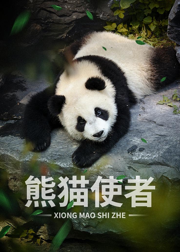 熊猫使者