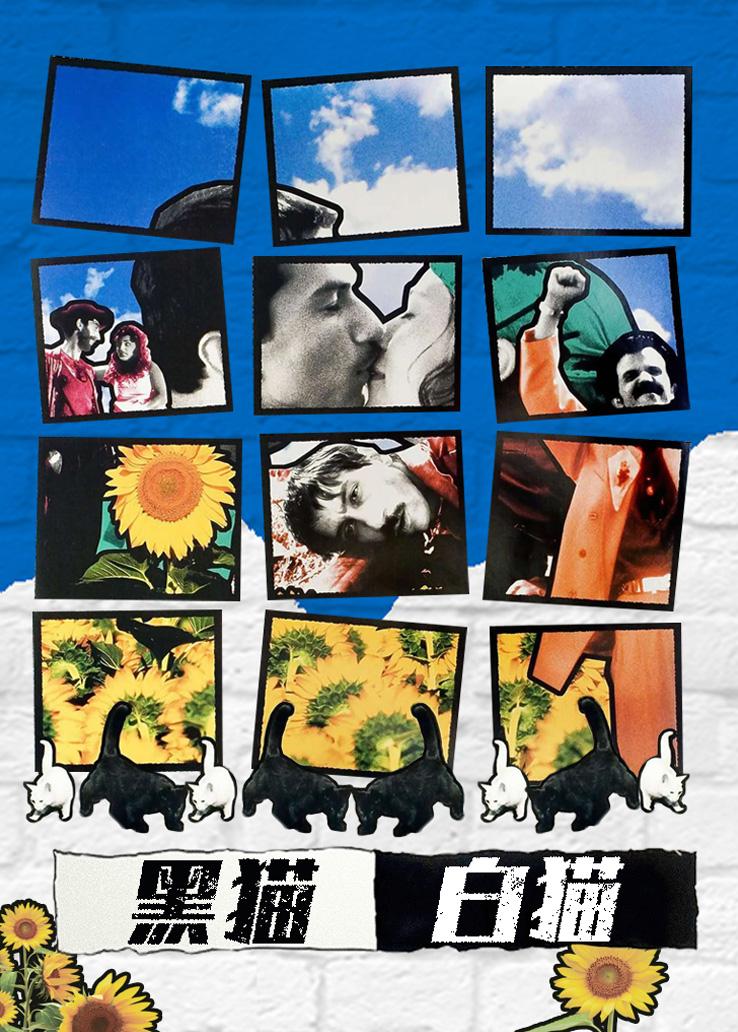 黑猫白猫封面图