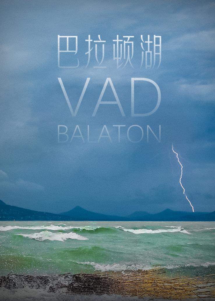 巴拉顿湖