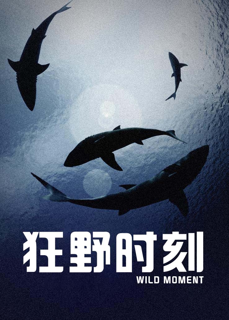 狂野时刻