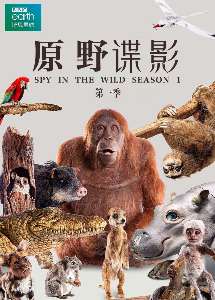 荒野间谍第一季