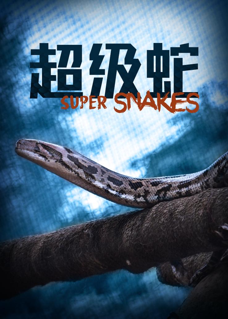 超级蛇
