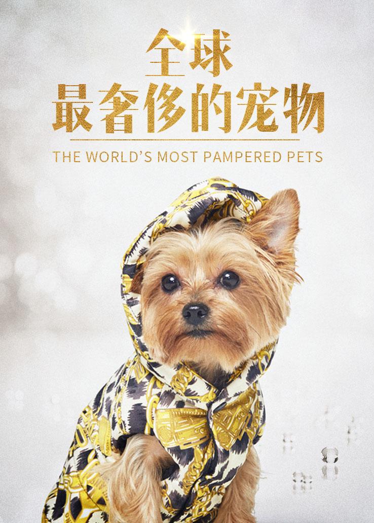 全球最奢侈的宠物