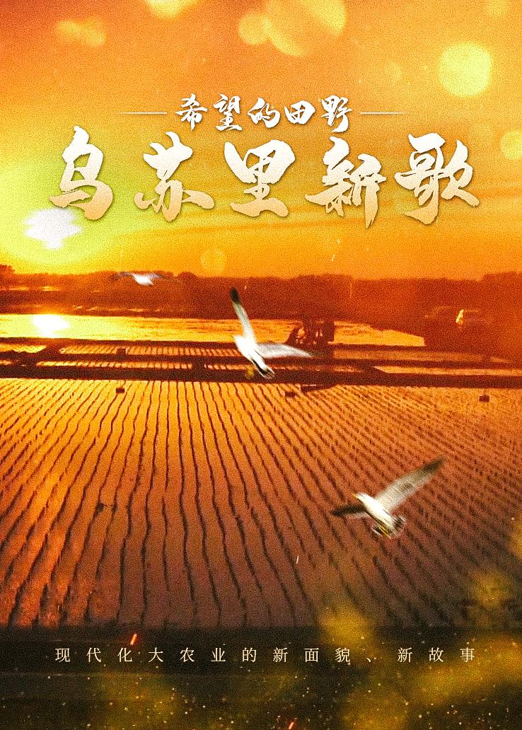 希望的田野：乌苏里新歌