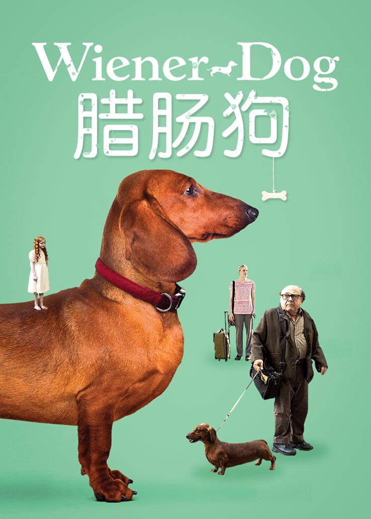 腊肠狗