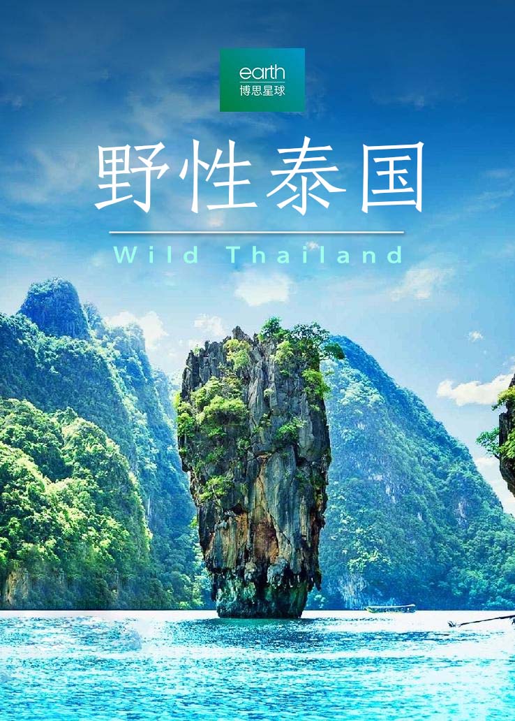 野性泰国