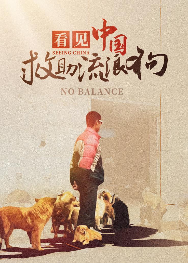 看见中国：救助流浪狗