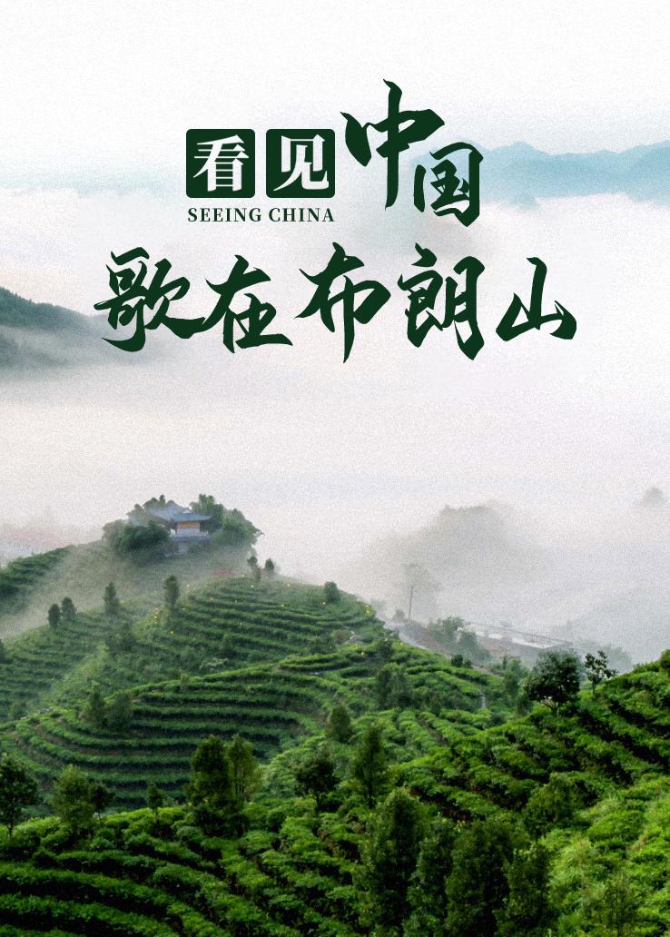 看见中国：歌在布朗山