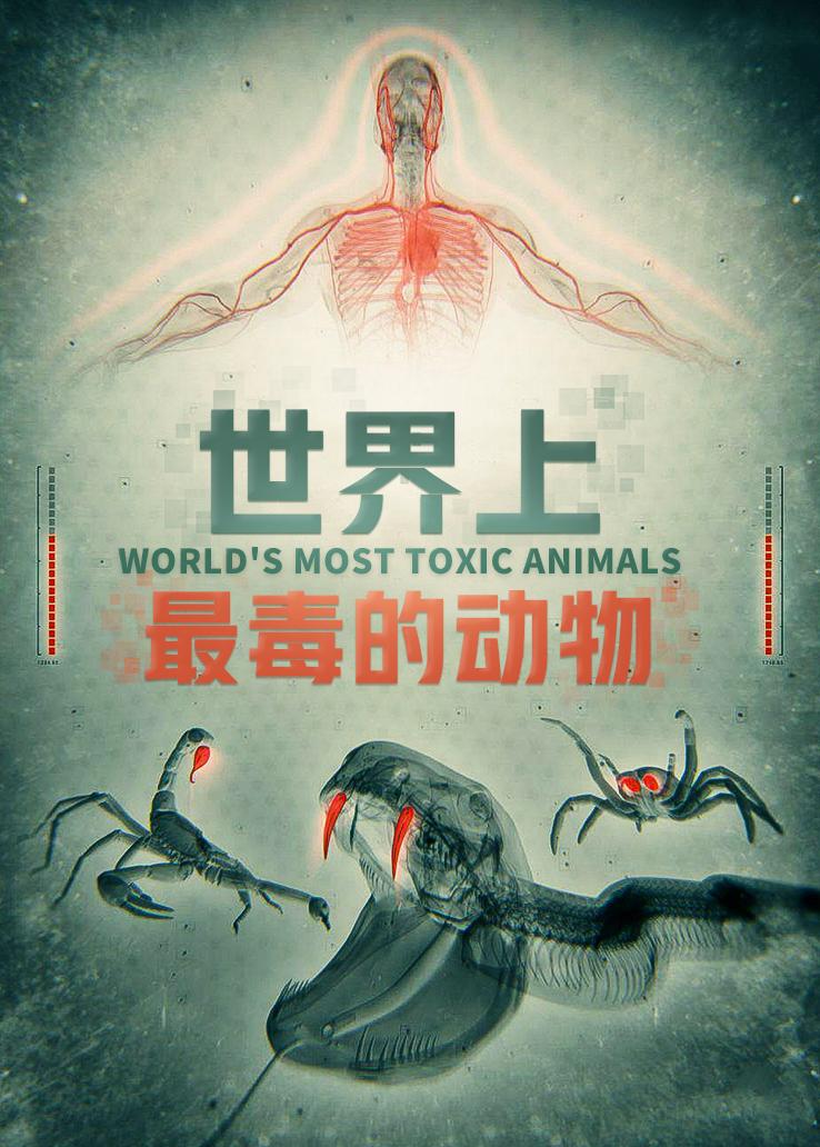世界上最毒的动物