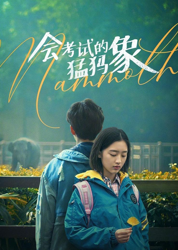 会考试的猛犸象