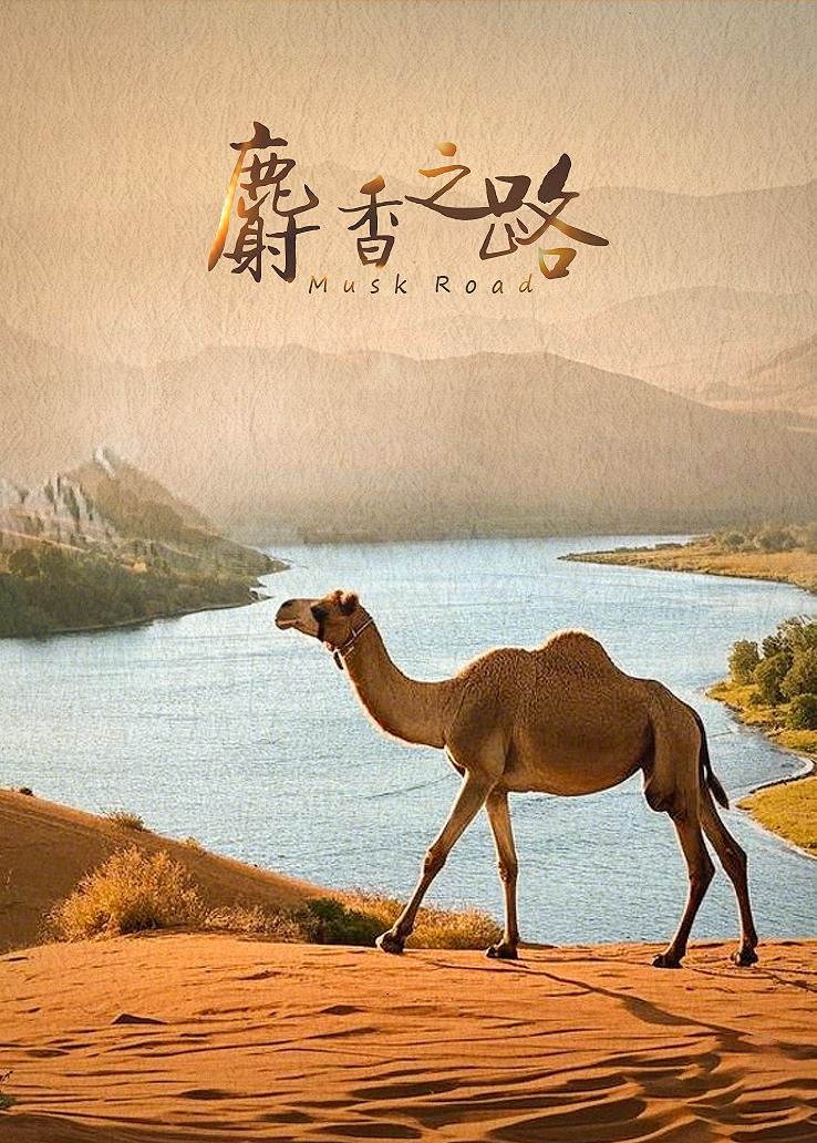 麝香之路