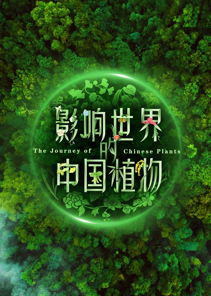 影响世界的中国植物封面图