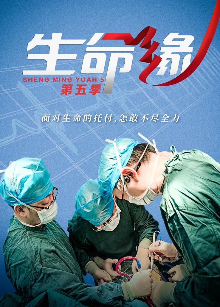 生命缘第五季