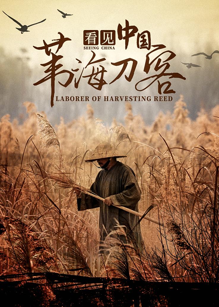 看见中国：苇海刀客