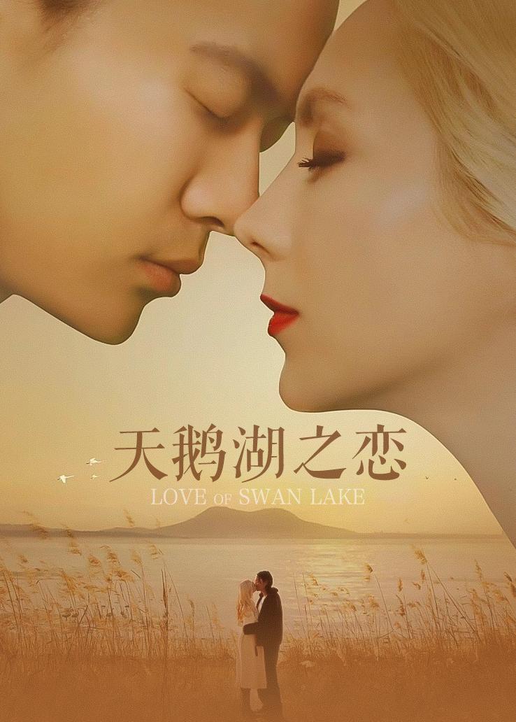 天鹅湖之恋