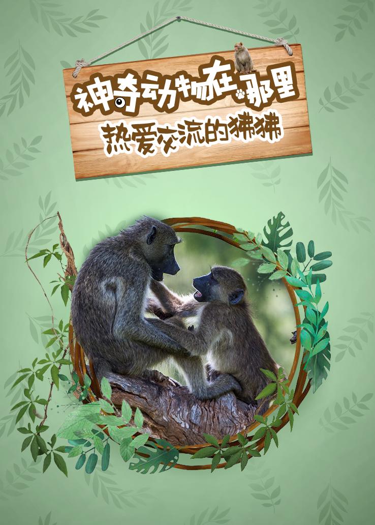 神奇动物在哪里 热爱交流的狒狒