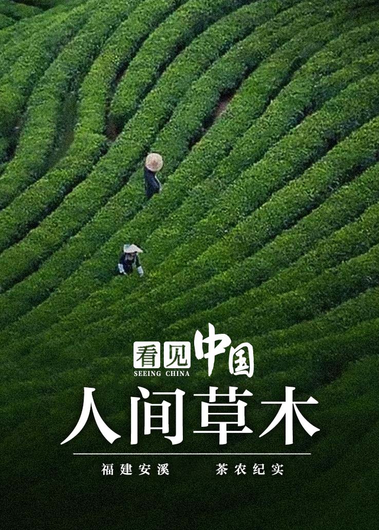看见中国：人间草木