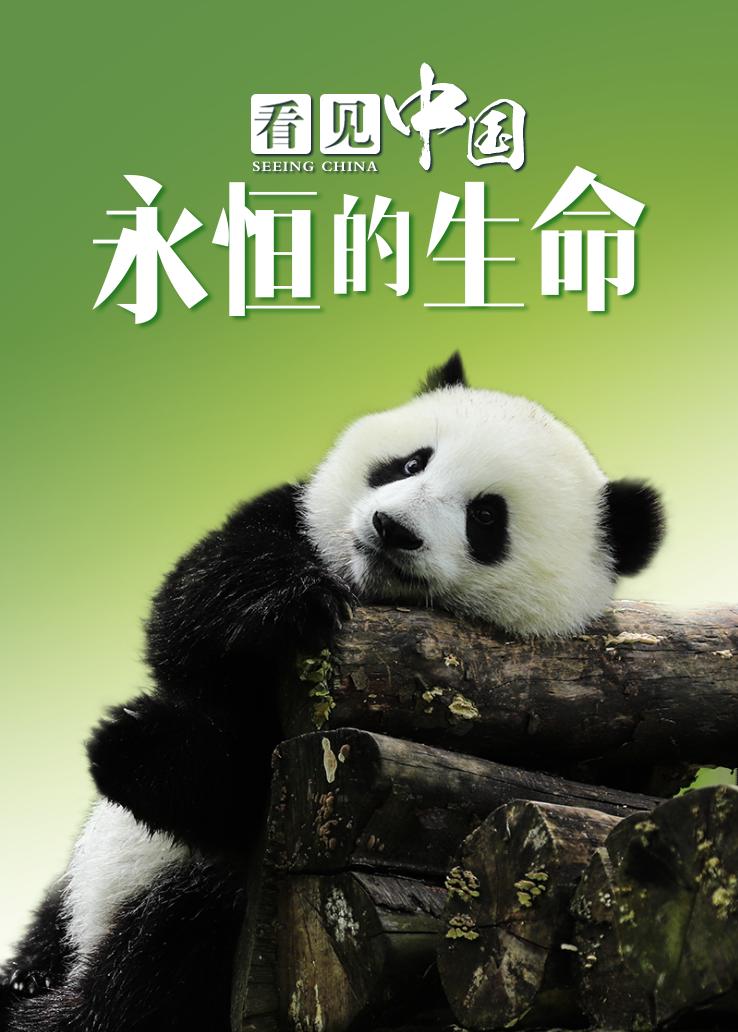看见中国：永恒的生命