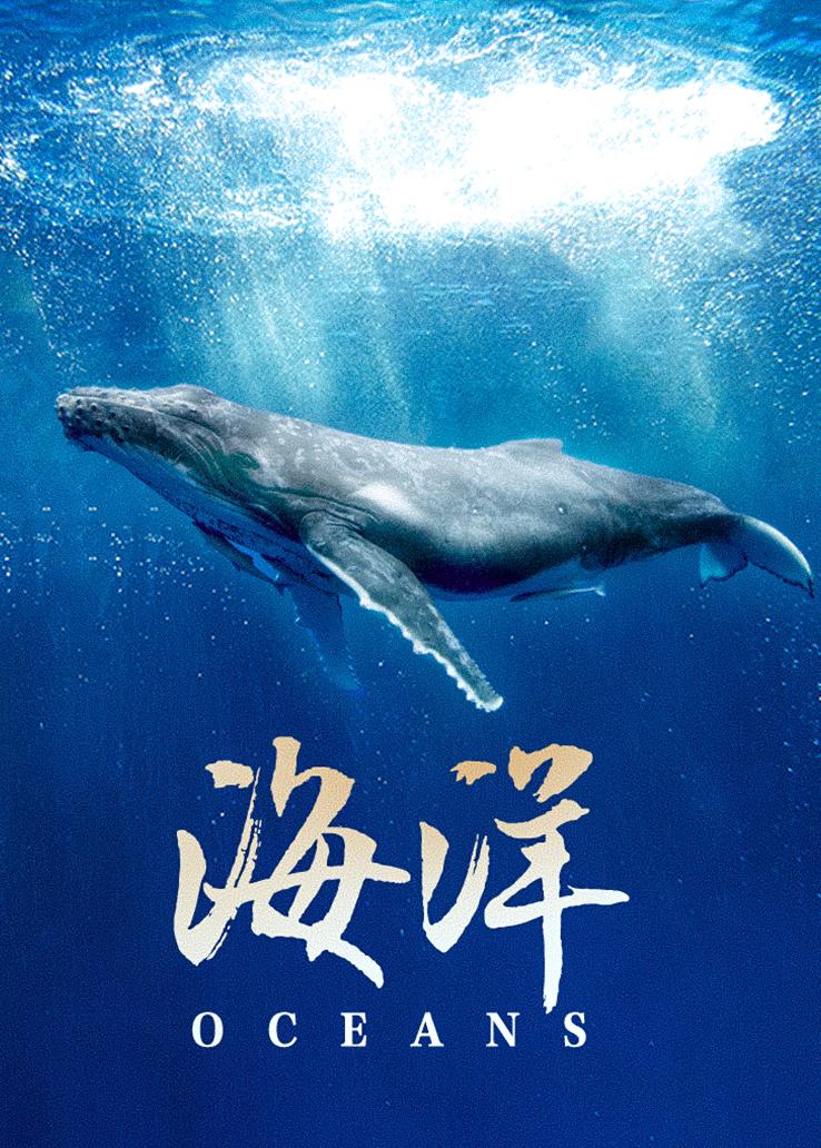 海报背景