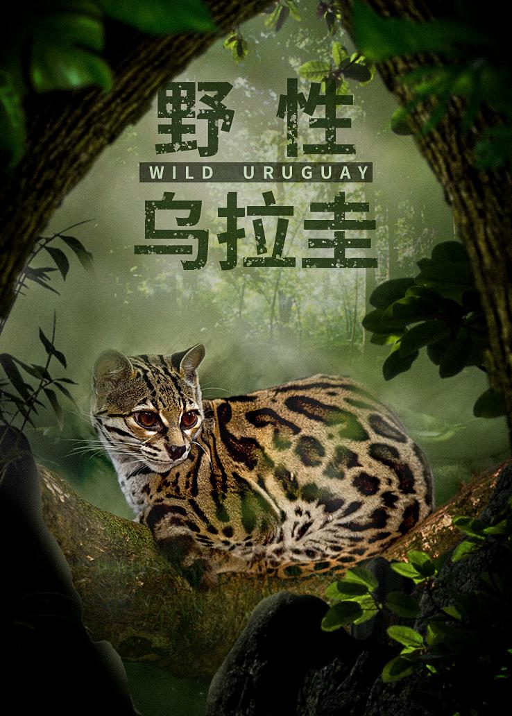 野性乌拉圭