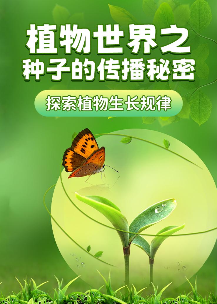 植物世界之种子的传播秘密